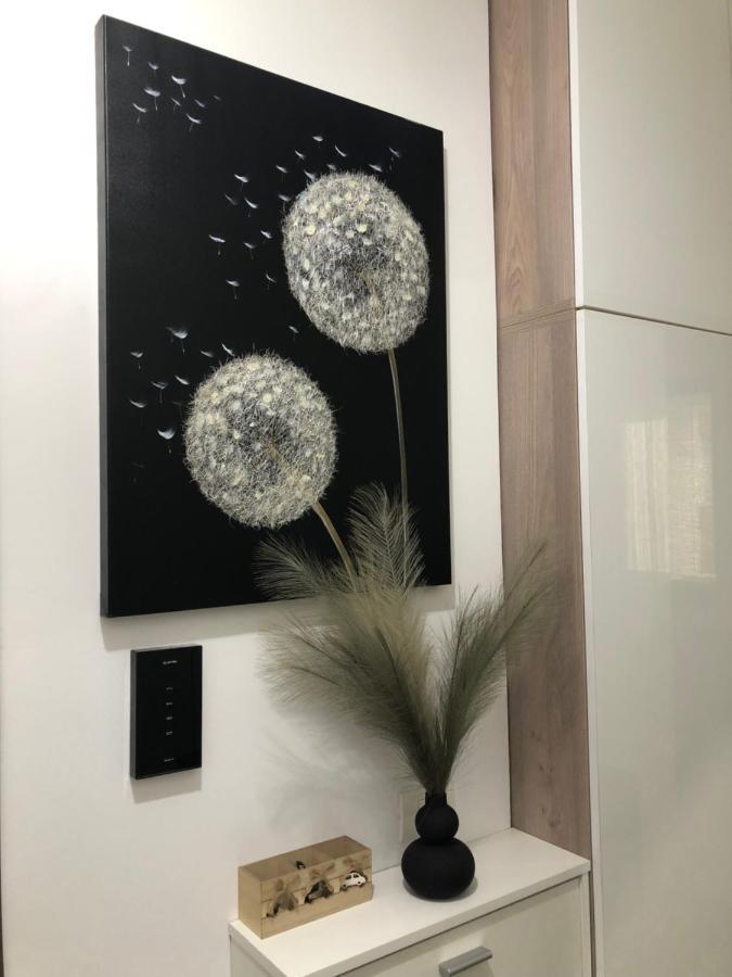 Năvodari Miio Studio מראה חיצוני תמונה
